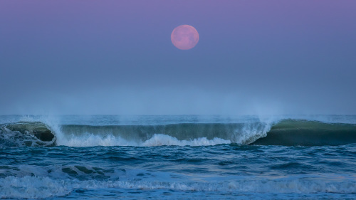 MOONSET-NORTH-COUNTY-SAN-DIEGO-CA
