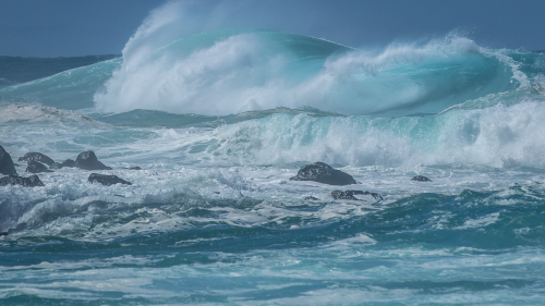Wave-Hawaii
