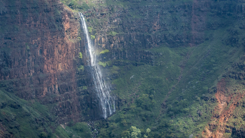 Birds-Waterfall-Hawaii