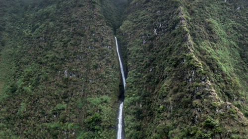 Waterfalls-Bird-Hawaii