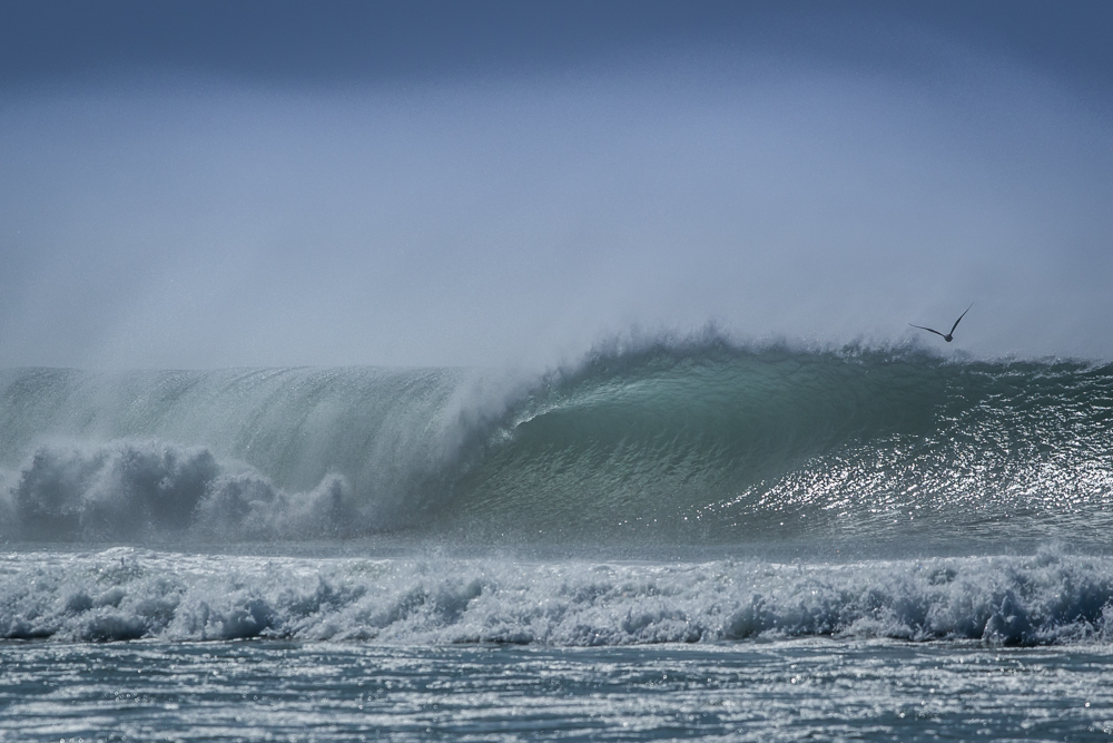 WAVE-OFFSHORE-WINDS-NORTH-COUNTY-SAN-DIEGO-CA